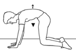 Esercizi propriocettivi colonna vertebrale